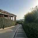 扎金索斯岛 - 希腊旅游 缩略图 2