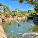 罗红摄影艺术馆 - 北京市旅游 缩略图 2