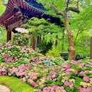 吴山景区-城隍阁 - 杭州市旅游 缩略图 1