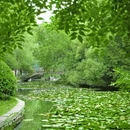 杏花公园 - 合肥市旅游 缩略图 5