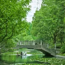 杏花公园 - 合肥市旅游 缩略图 6
