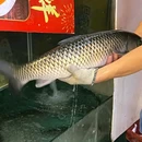 广州正佳广场万豪酒店 - 广州市旅游 缩略图 7