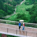 山海健康步道林海线D15-出入口 - 厦门市旅游 缩略图 4