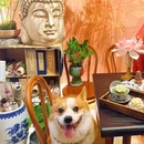 古巷悠品·甜品店 - 福州市旅游 缩略图 6