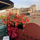 世纪金花(高新店) - 西安市旅游 缩略图 1