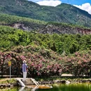 丽江古城 - 丽江市旅游 缩略图 5