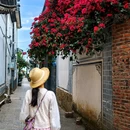 双廊古镇 - 大理白族自治州旅游 缩略图 5