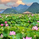 普者黑风景区 - 文山壮族苗族自治州旅游 缩略图 1