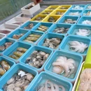 捞享空间·平潭豪华海鲜粉(西航路店) - 福州市旅游 缩略图 7