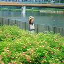 福海河公园 - 深圳市旅游 缩略图 5
