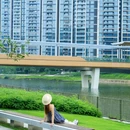 福海河公园 - 深圳市旅游 缩略图 6