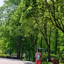秀湖公园 - 重庆市旅游 缩略图 8
