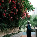 百林公园 - 重庆市旅游 缩略图 6