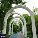 百林公园 - 重庆市旅游 缩略图 9