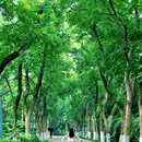 湖南烈士公园-西北1门 - 长沙市旅游 缩略图 2