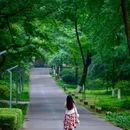 湖南烈士公园-西北1门 - 长沙市旅游 缩略图 6
