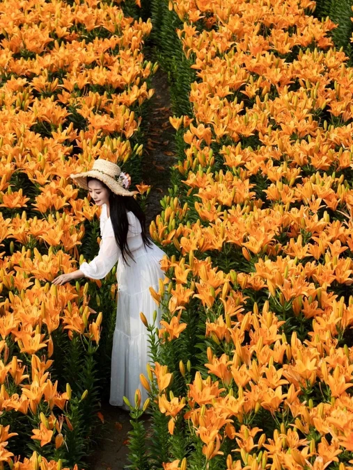 合肥园博园百花园 - 合肥市旅游