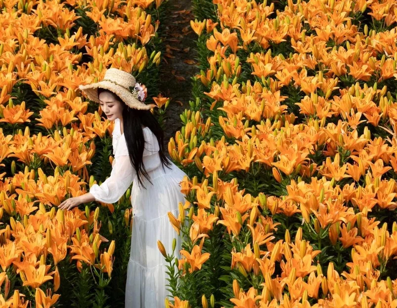 合肥园博园百花园 - 合肥市旅游 1