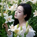 合肥园博园百花园 - 合肥市旅游 缩略图 9