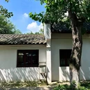 望江楼公园 - 成都市旅游 缩略图 5