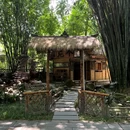 望江楼公园 - 成都市旅游 缩略图 7