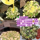 环东海域滨海旅游浪漫线 - 厦门市旅游 缩略图 6