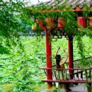 武汉站 - 武汉市旅游 缩略图 4