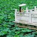 武汉站 - 武汉市旅游 缩略图 7