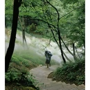 重渡沟风景区 - 洛阳市旅游 缩略图 5