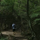 重渡沟风景区 - 洛阳市旅游 缩略图 8
