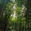 熊廷弼公园 - 武汉市旅游 缩略图 1