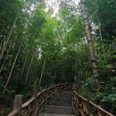 熊廷弼公园 - 武汉市旅游 缩略图 4