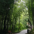 熊廷弼公园 - 武汉市旅游 缩略图 8