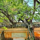 国清寺 - 南通市旅游 缩略图 5