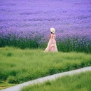 上海新天地 - 上海市旅游 缩略图 9