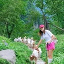 松茂古道 - 成都市旅游 缩略图 2