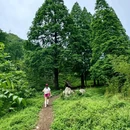 松茂古道 - 成都市旅游 缩略图 3