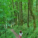 松茂古道 - 成都市旅游 缩略图 8