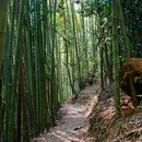 成都阳平玄观 - 成都市旅游 缩略图 3