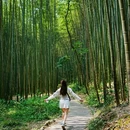 成都阳平玄观 - 成都市旅游 缩略图 4