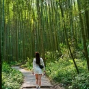成都阳平玄观 - 成都市旅游 缩略图 1