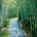 成都阳平玄观 - 成都市旅游 缩略图 8