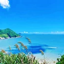 台州温岭市镇虎庙 - 台州市旅游 缩略图 4