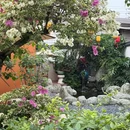 臻喻小院·茶馆·咖啡店(西樵千古情店) - 佛山市旅游 缩略图 8