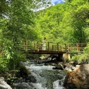 叠溪松坪沟景区 - 阿坝藏族羌族自治州旅游 缩略图 4