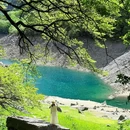 叠溪松坪沟景区 - 阿坝藏族羌族自治州旅游 缩略图 6