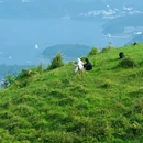 马鞍山昂平营地 - 香港特别行政区旅游 缩略图 6