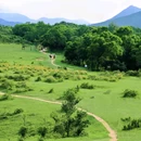马鞍山昂平营地 - 香港特别行政区旅游 缩略图 9