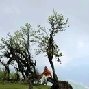 龙华山停车场 - 甘孜藏族自治州旅游 缩略图 7