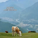 龙华山停车场 - 甘孜藏族自治州旅游 缩略图 8